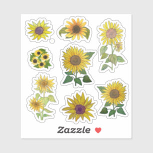Assorted single and double sunflowers