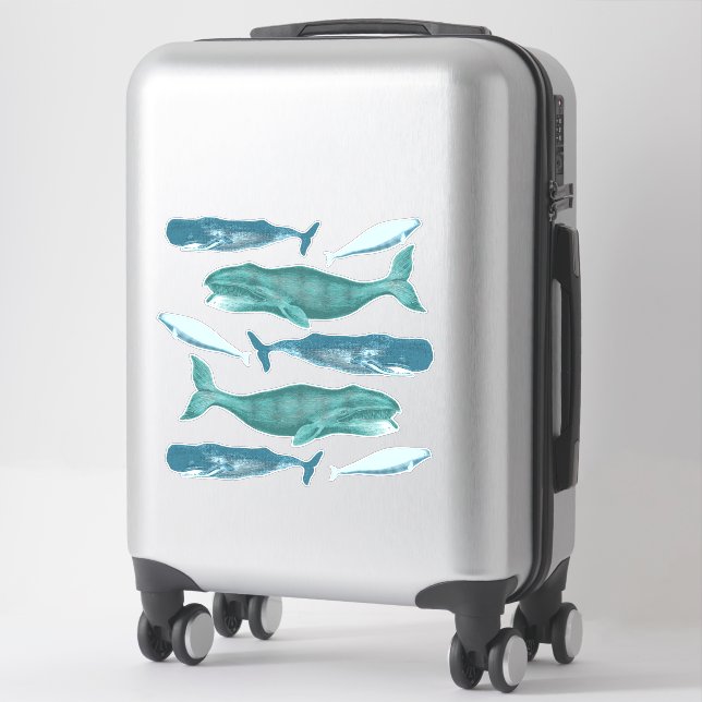 Assorted Vintage Blue Whales Steampunk (Suitcase)