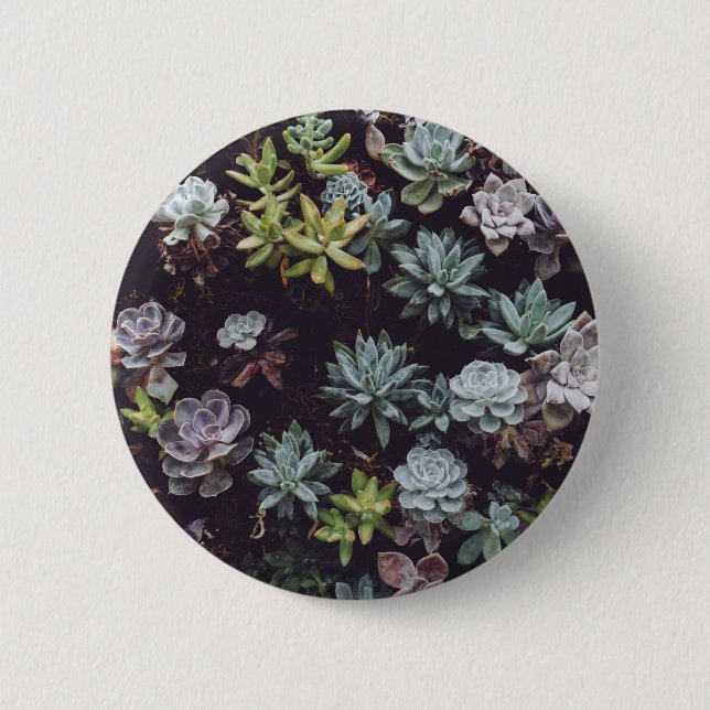 Assortment of Small Succulent Plants 6 Cm Round Badge (Front)