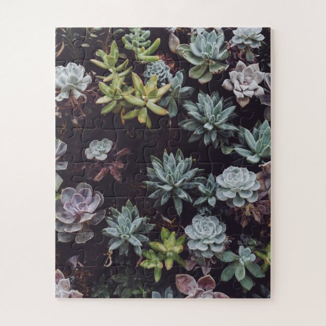Assortment of Small Succulent Plants Jigsaw Puzzle (Vertical)