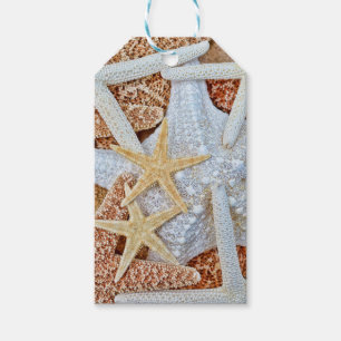Assortment of Starfish Gift Tags