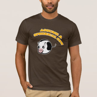 Assume a Spherical Cow T-Shirt