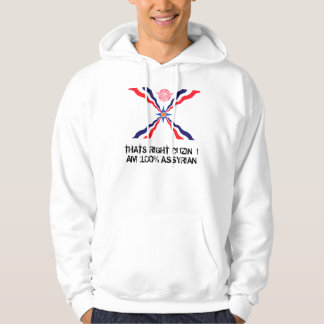 assyr, THATS RIGHT CUZIN  I AM 100% ASSYRIAN Hoodie