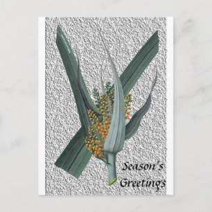 Astelia Nervosa Postcard