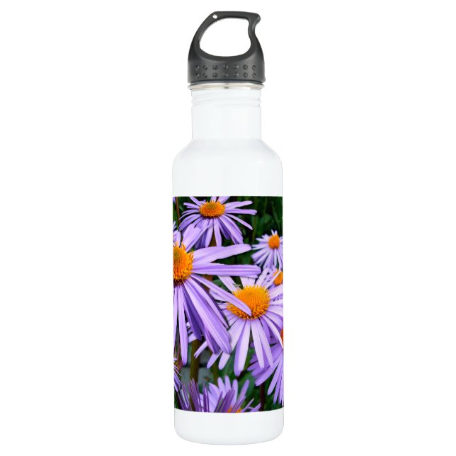 Aster 710 Ml Water Bottle (Front)
