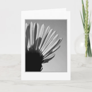 ASTER: A Die Falls . . . Card