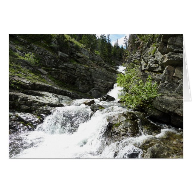 Aster Creek at Glacier National Park (Front Horizontal)