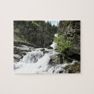 Aster Creek at Glacier National Park Jigsaw Puzzle