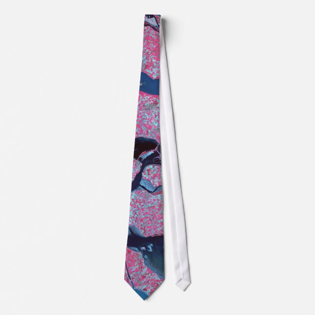 ASTER Delta Region, Netherlands Tie (Front)