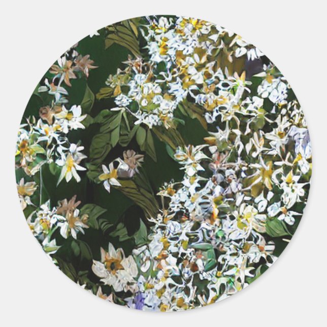 ASTER FLOWERS CLASSIC ROUND STICKER (Front)