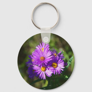 Aster key chain