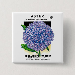 Aster Vintage Seed Packet 15 Cm Square Badge