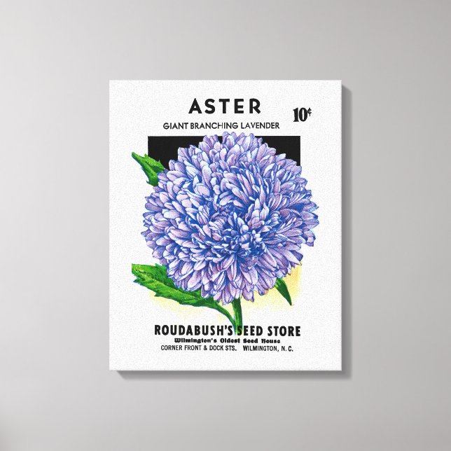 Aster Vintage Seed Packet Canvas Print (Front)