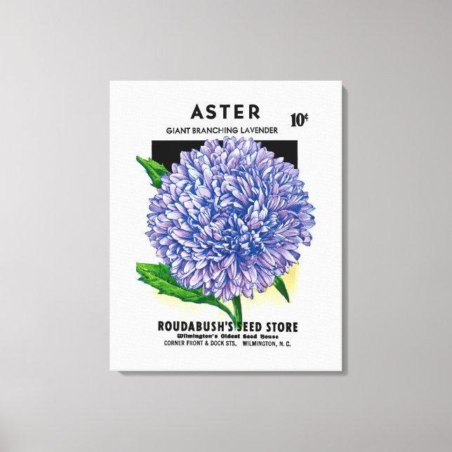 Aster Vintage Seed Packet Canvas Print (Front)