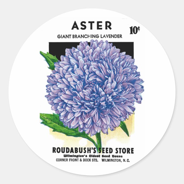 Aster Vintage Seed Packet Classic Round Sticker (Front)