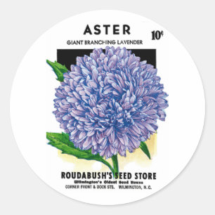 Aster Vintage Seed Packet Classic Round Sticker