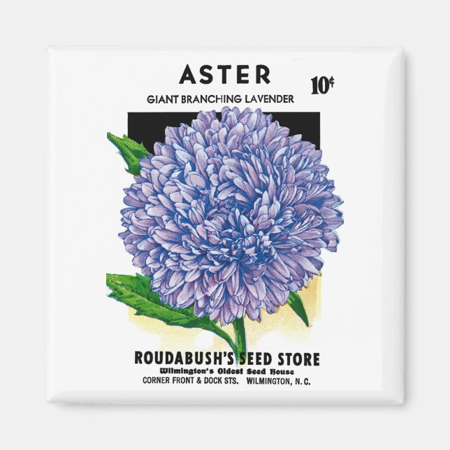 Aster Vintage Seed Packet Magnet (Front)