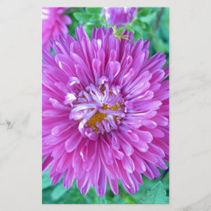 Aster with Crab Spider Stationery