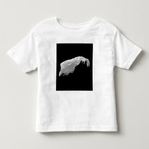 Asteroid 243 Ida Toddler T-Shirt