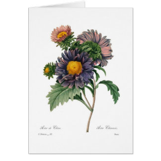 Asters