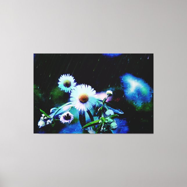 Asters Aglow Wrapped Canvas Prints (Front)