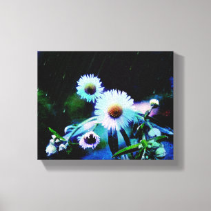 Asters Aglow Wrapped Canvas Prints