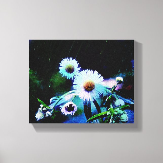 Asters Aglow Wrapped Canvas Prints (Front)