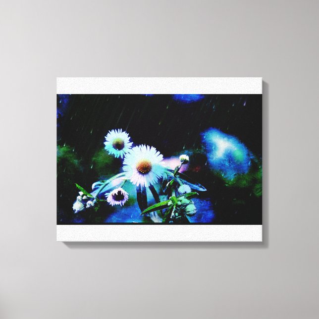 Asters Aglow Wrapped Canvas Prints (Front)