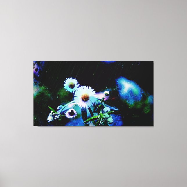 Asters Aglow Wrapped Canvas Prints (Front)