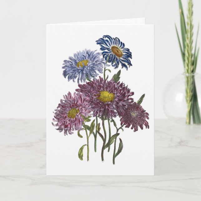 Asters Watercolor Get Well Soon Card (Front)
