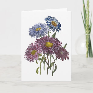 Asters Watercolor Get Well Soon Card