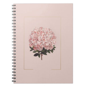 asthetic diary notebook