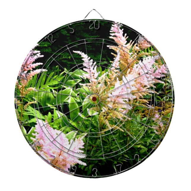 Astilbe Dartboard (Front)