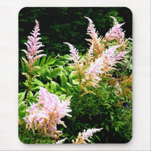 Astilbe Mouse Mat