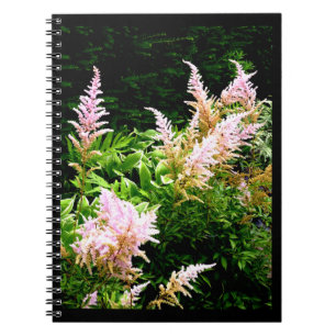 Astilbe Notebook