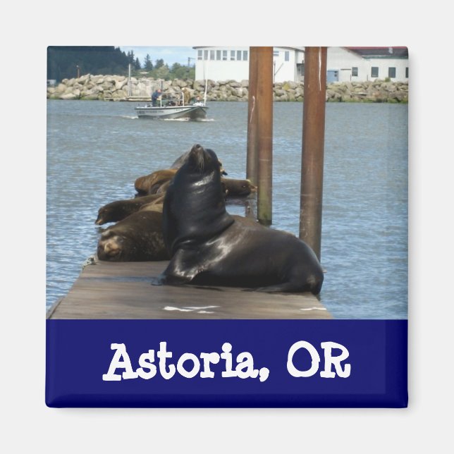 Astoria Oregon Sealions Magnet (Front)