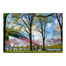 Astoria Park Photo