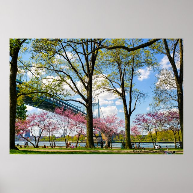 Astoria Park Photo Poster (Front)