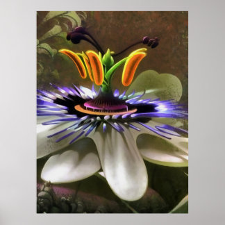 Astounding Abstract Art of A Passion Flower Poster