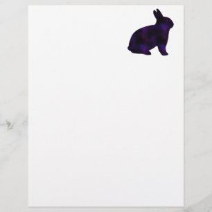 Astro Bunny