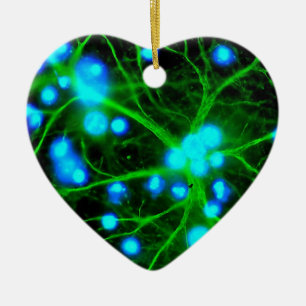 Astrocyte Are Star Shaped Glial Cells in the Brain Ceramic Tree Decoration