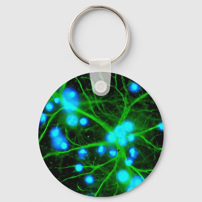 Astrocyte Are Star Shaped Glial Cells in the Brain Key Ring (Front)