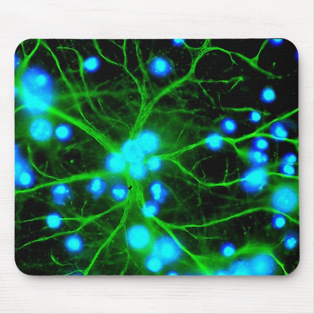 Astrocyte Are Star Shaped Glial Cells in the Brain Mouse Mat (Front)