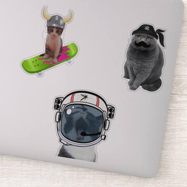 Astronaut Cat (Detail)