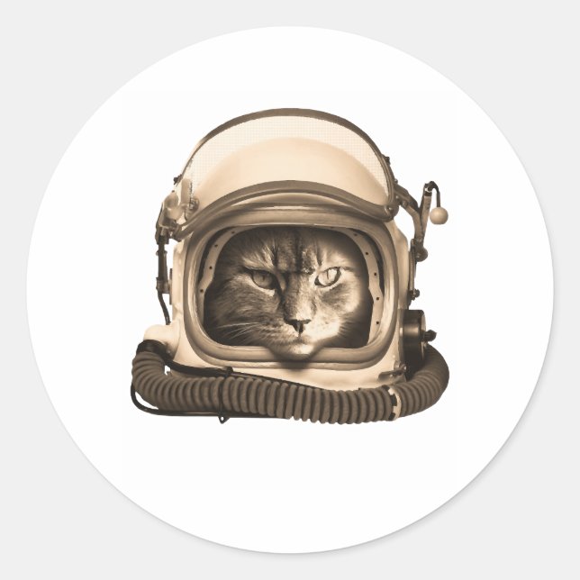 Astronaut Cat Astronomy Spaceman Kitty Space Classic Round Sticker (Front)