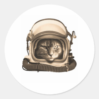 Astronaut Cat Astronomy Spaceman Kitty Space Classic Round Sticker