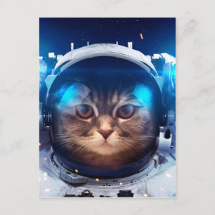 Astronaut cat floats above Earth Postcard