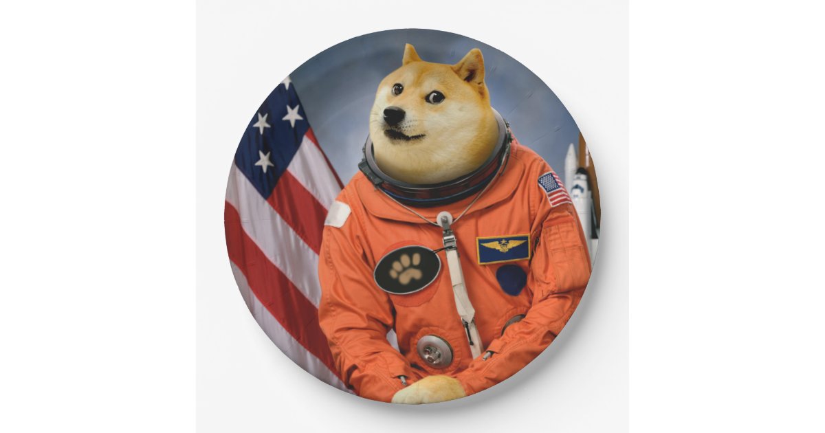 Astronaut Dog Doge Shibe Doge Memes Paper Plate Zazzle Co Uk