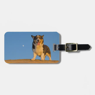 Astronaut Dreaming Luggage Tag