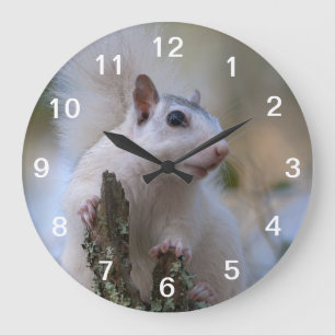 Astronaut Squirrel Large Clock